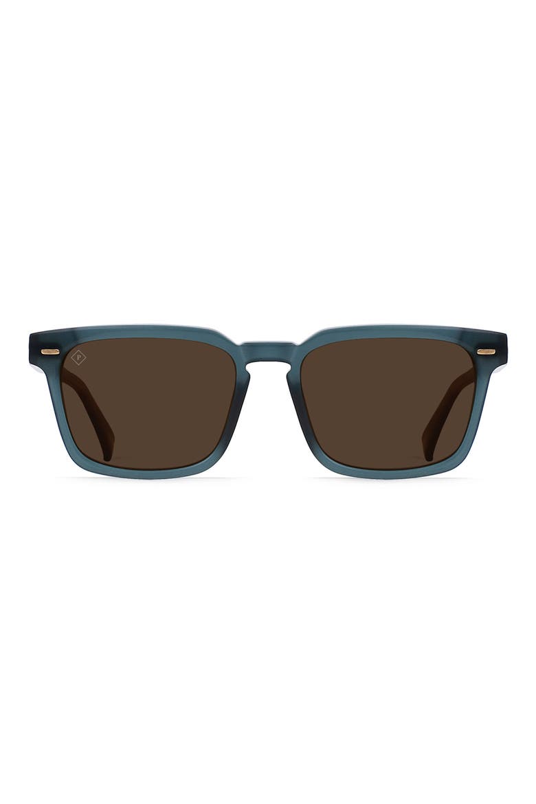 Adin 54mm Polarized Sunglasses, Main, color, CIRUS/ VIBRANT BROWN POLAR