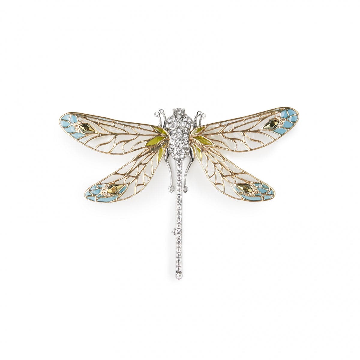 selected Dragonfly