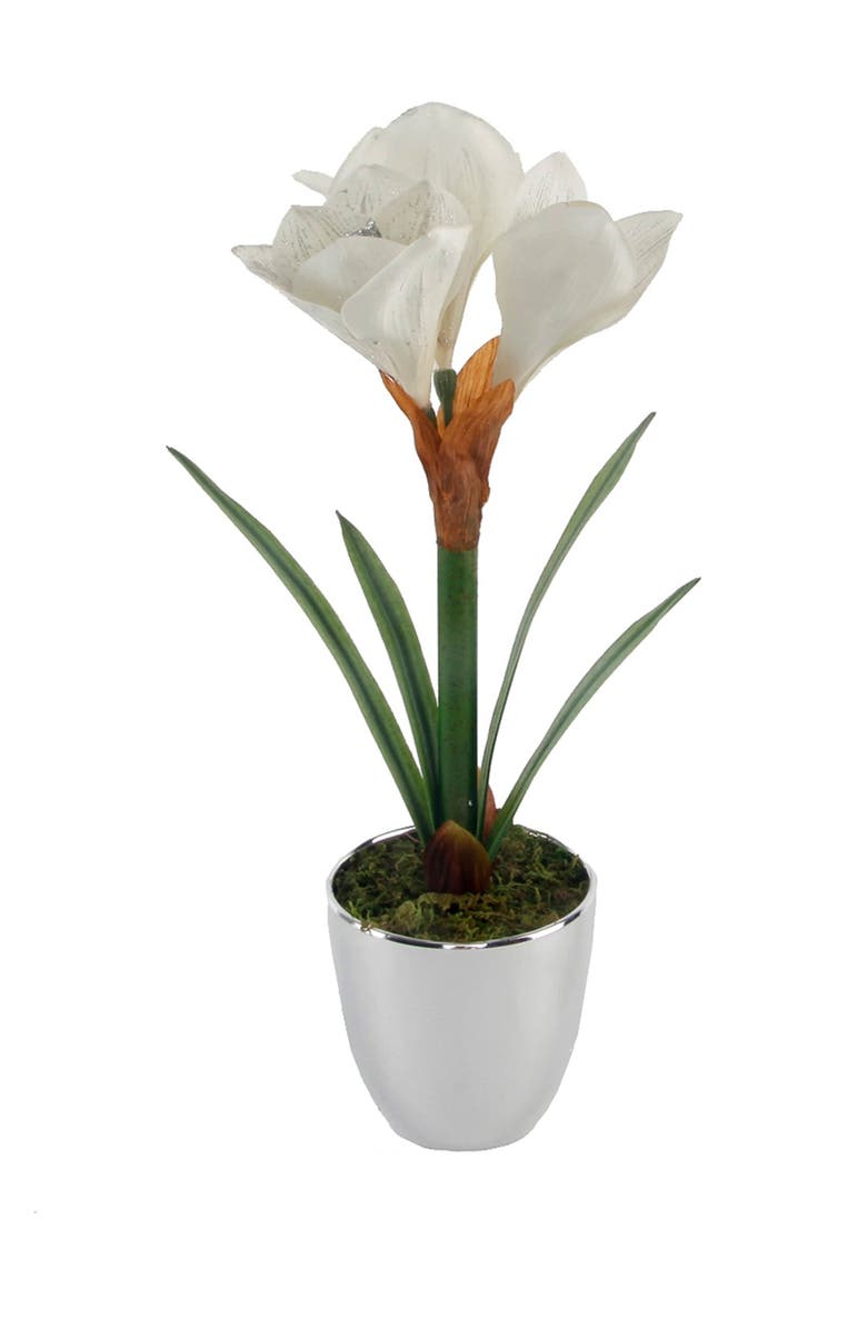 FLORA BUNDA Ivory 20" Tall Amaryllis in Silver Plated Pot, Main, color,