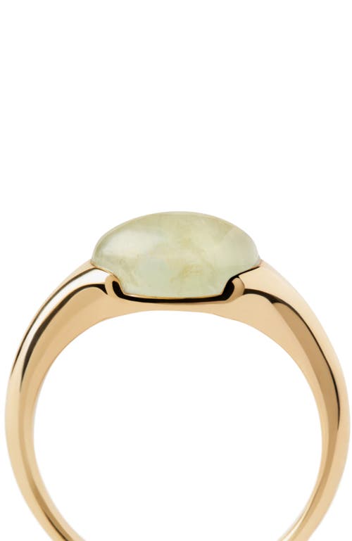 Pdpaola Bay Ring In Prehnite