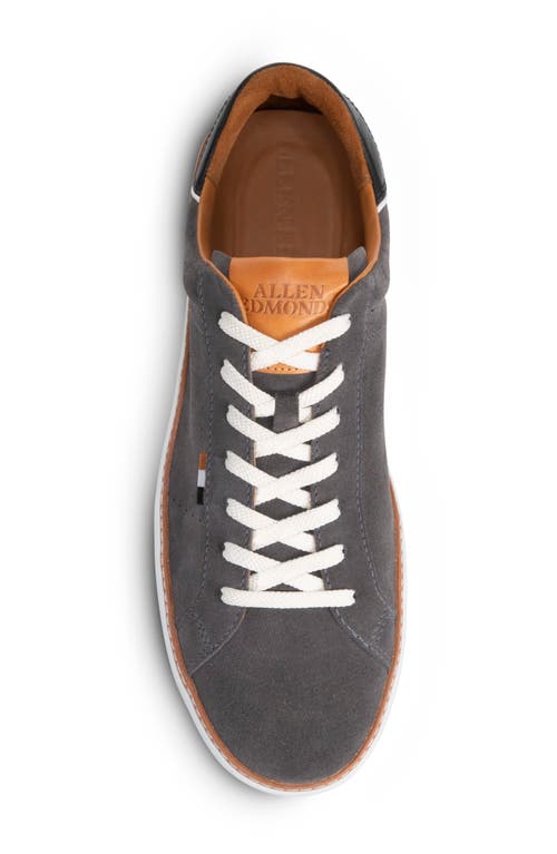 Allen Edmonds Alpha Sneaker In Magnet