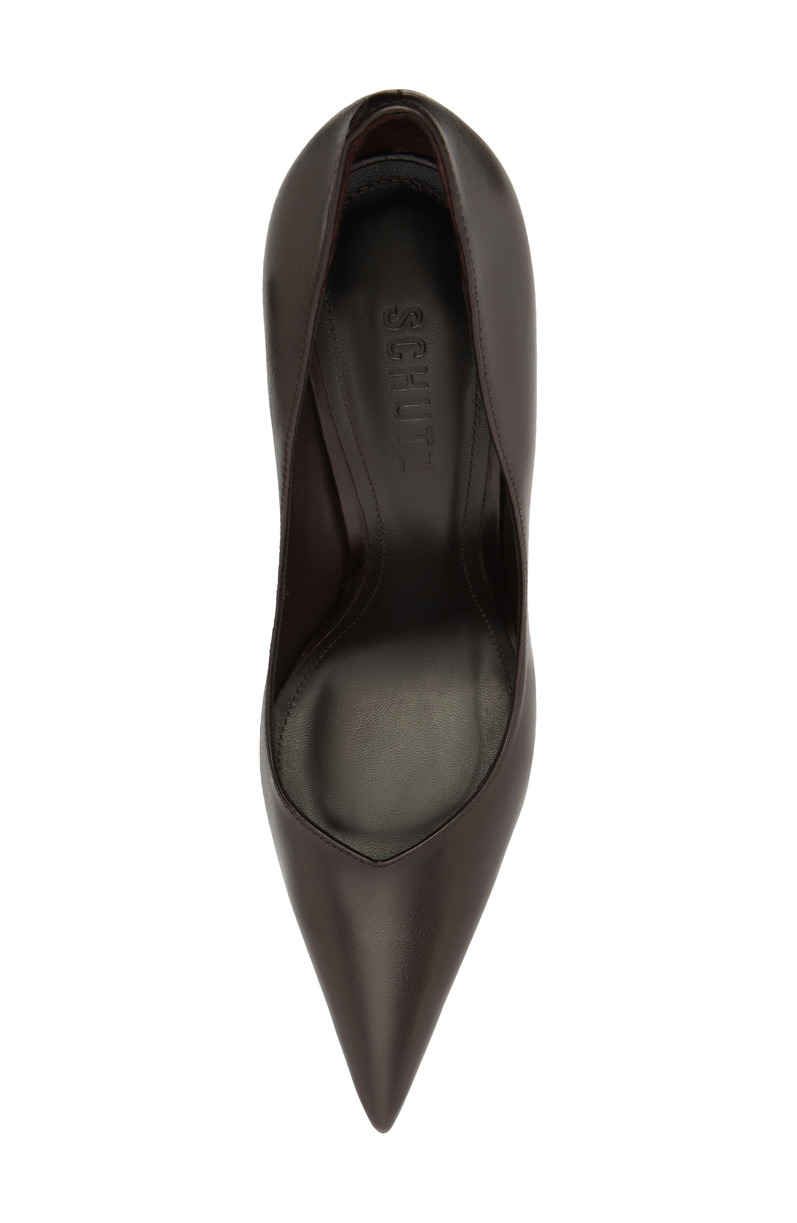 Schutz Lexi Pointed Toe Pump (Women) | Nordstrom