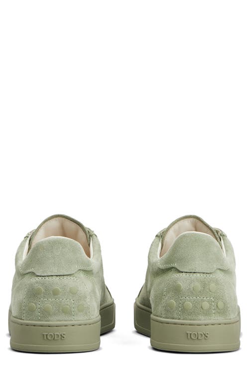 Tod's Allacciata Cassetta Sneaker In Oil Green