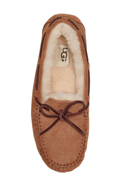 Ugg Dakota Womens Moccasin Slippers In Brown