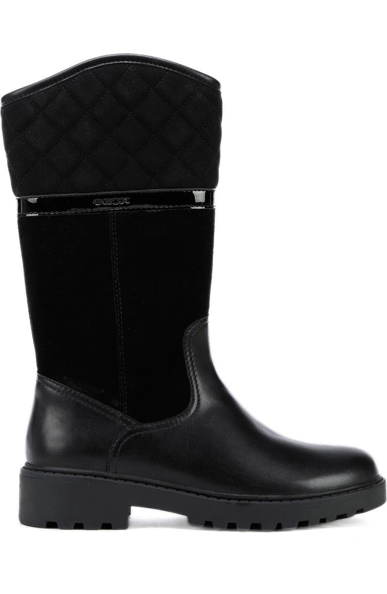 Geox Casey Waterproof Boot, Alternate, color,