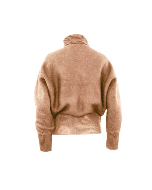Theo The Label Pallas Dolman High-rib Turtleneck In Black