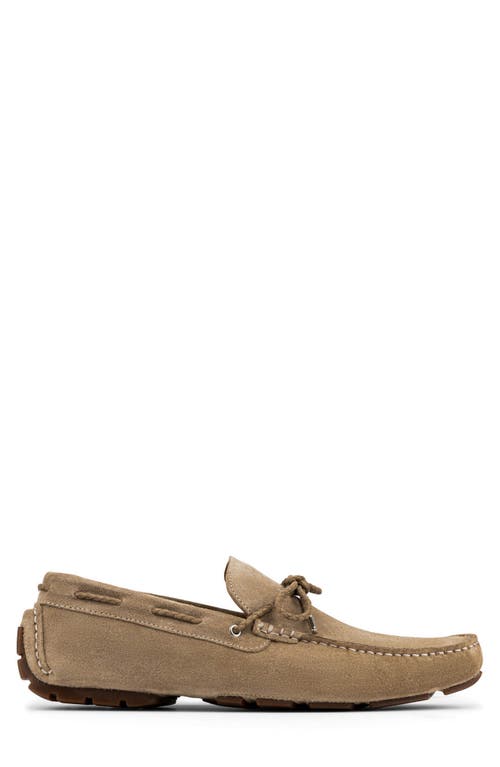 Donald Pliner Dutton Driving Loafer In Brown