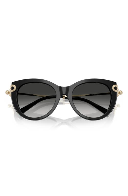 Tiffany & Co . 53mm Gradient Butterfly Sunglasses In Black