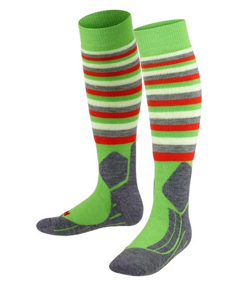 SK2 Intermediate Stripes Ski Socks (Kids)