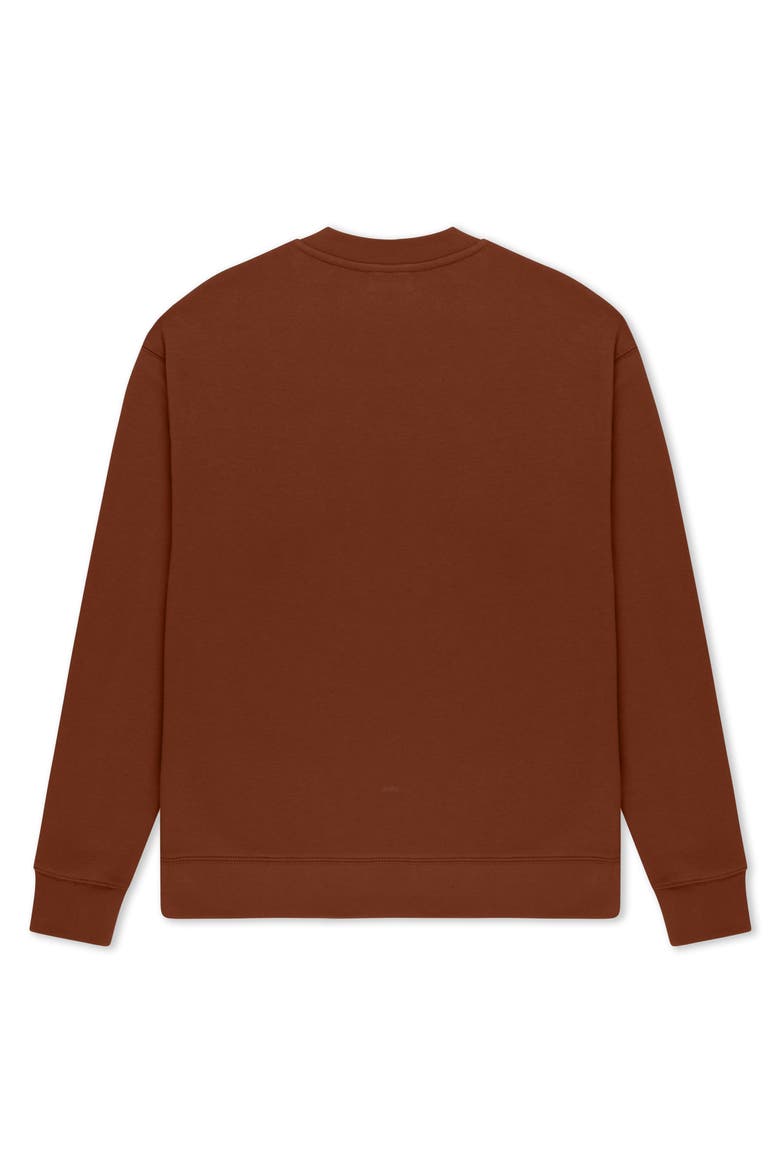 Ghost Relaxed Midweight Fleece Crewneck Sweatshirt, Alternate, color, Clay