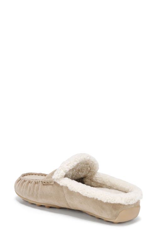 Vince Berkley Genuine Shearling Driving Loafer In Brown