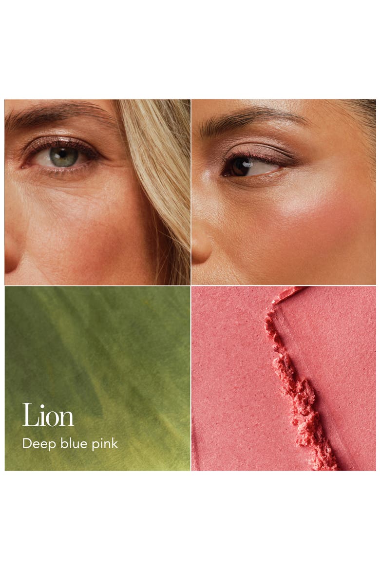 Cheek Shade Blush, Alternate, color, LION