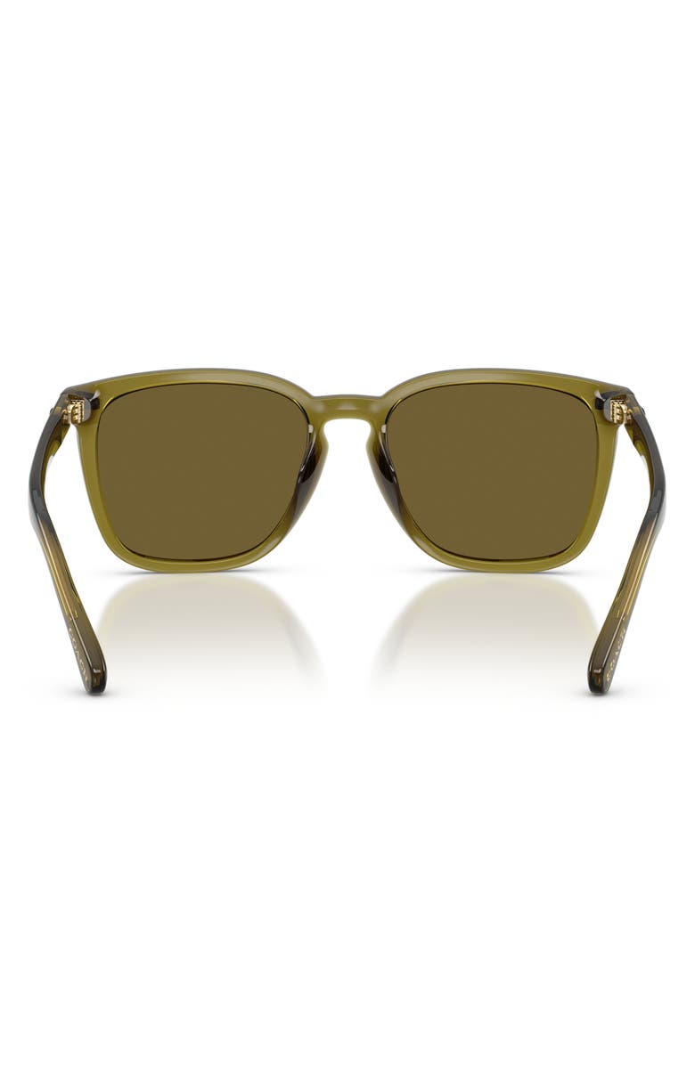 COACH 56mm Square Sunglasses, Alternate, color, Transparent Olive/ Army Solid