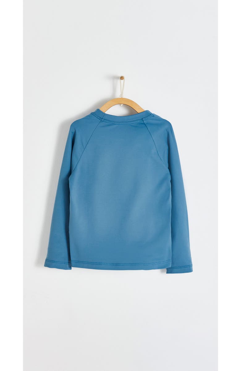 Babycottons Premium Quality Sun Long Sleeve Rashguard, Alternate, color, Blue