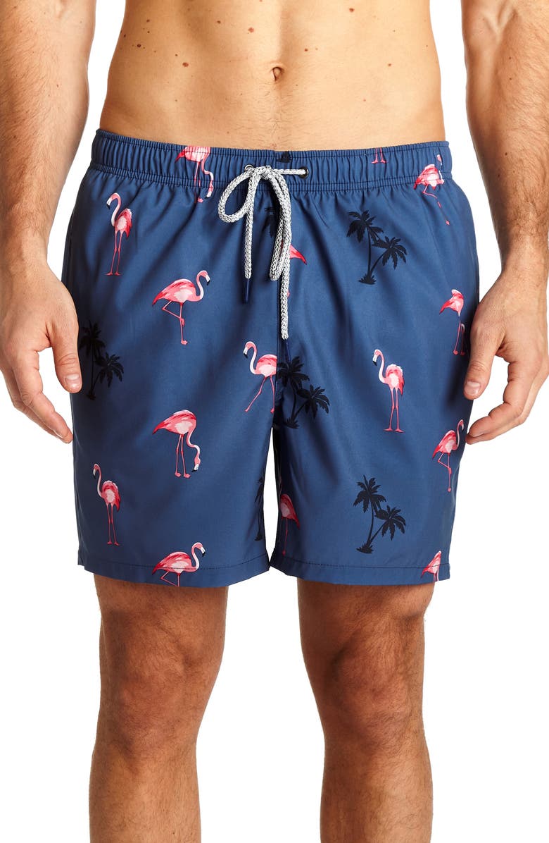 Rainforest Flamingo Blues Trunks, Main, color,