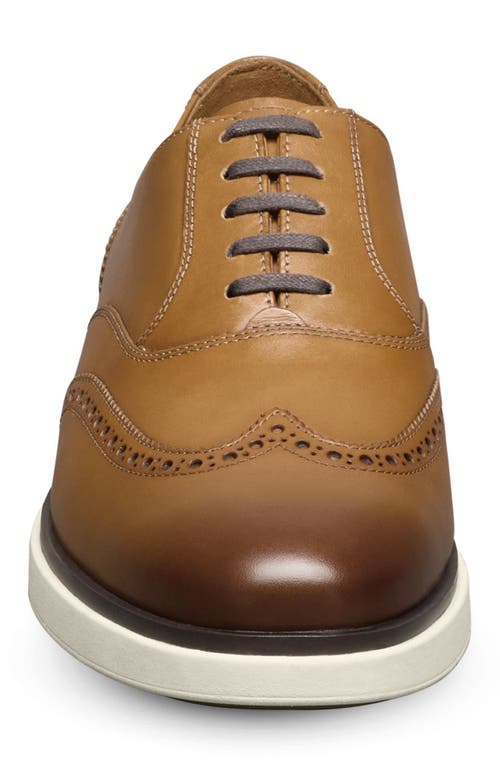 Allen Edmonds Carson Hybrid Wingtip Oxford In Walnut