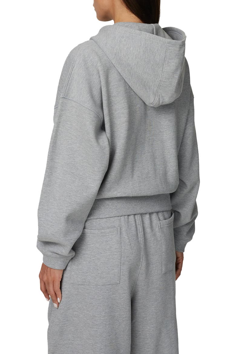 Cropped Zipped Icarus Hoodie, Alternate, color, Grey