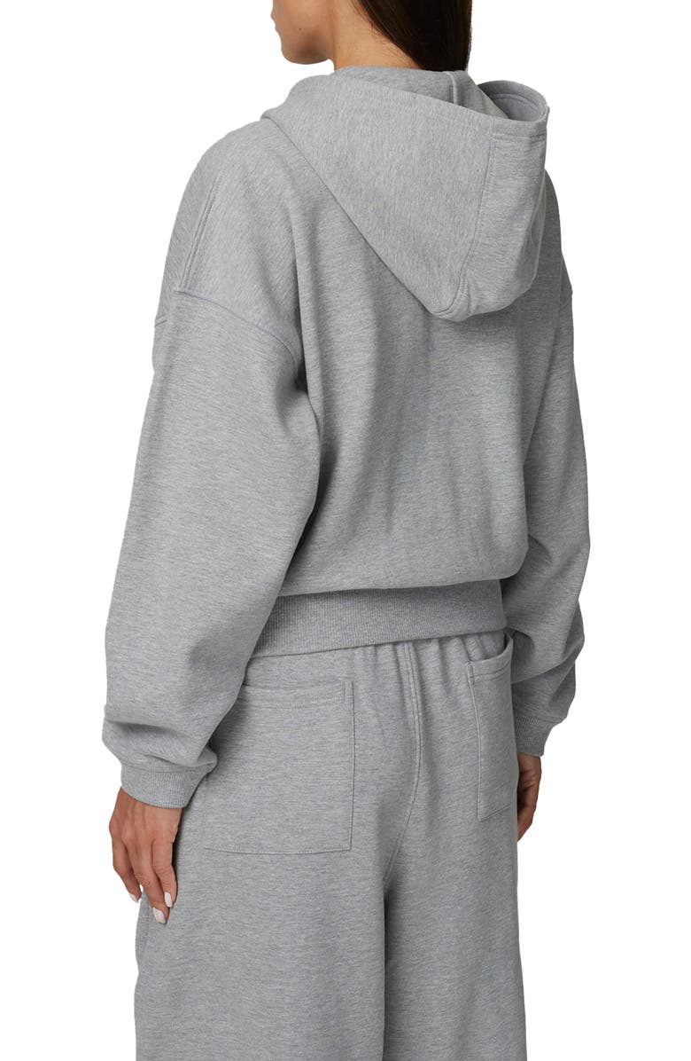 Good For Nothing Cropped Zipped Icarus Hoodie, Alternate, color, Grey