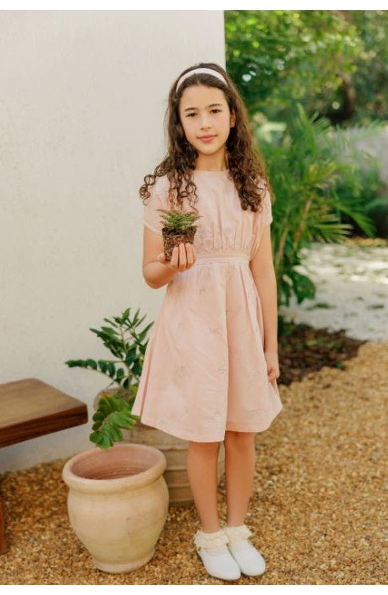 Ely's & Co. Looms Holland Collection - Embroidered Floral Short Sleeve Dress, Alternate, color, Pink