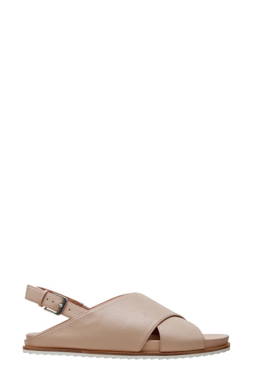 Linea Paolo Raylin Slingback Sandal In Blush Pink