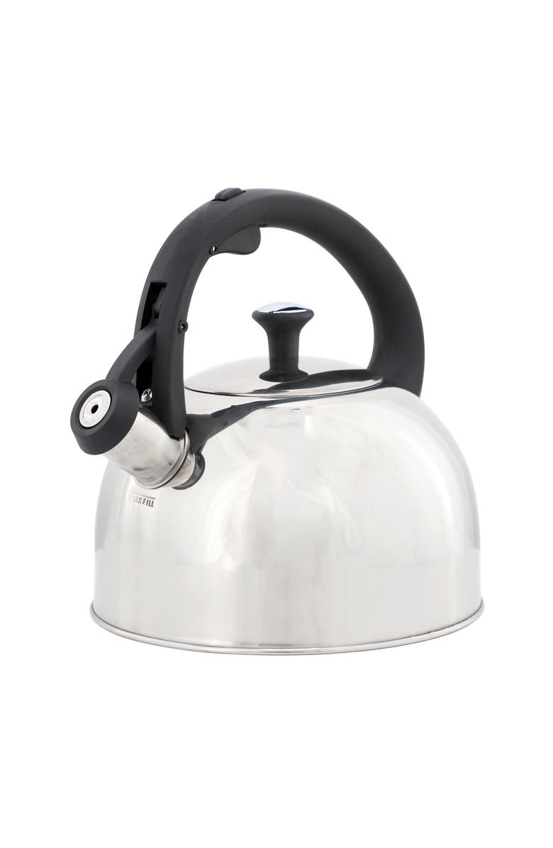 Mr. Coffee Daneswell 2.1 Quart Stainless Steel Whistling Tea Kettle, Main, color, Metallic Silver