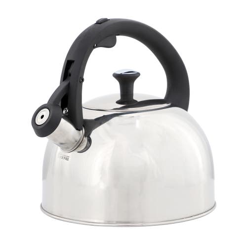 Mr Coffee Mr. Coffee Daneswell 2.1 Quart Stainless Steel Whistling Tea Kettle In Silver