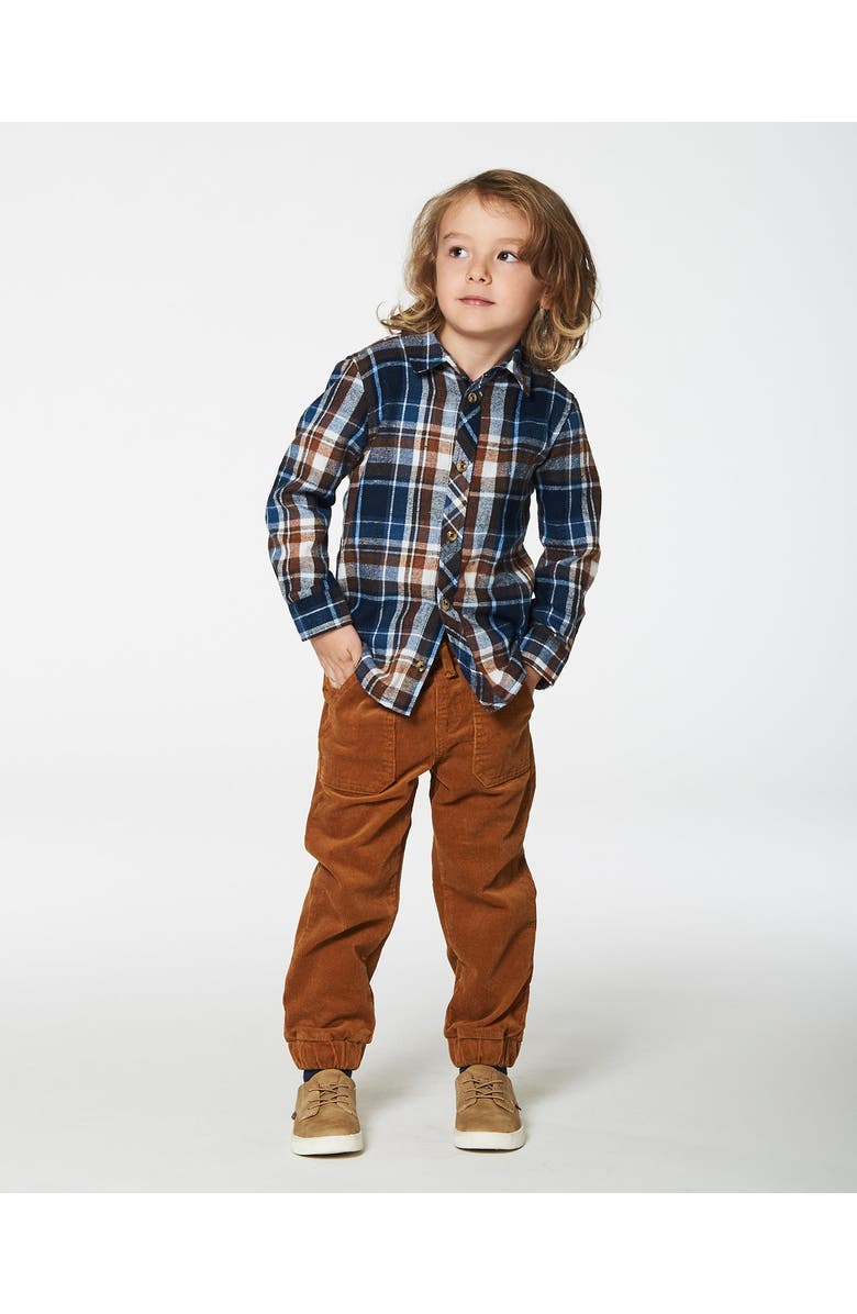 Deux par Deux Boy's Long Sleeve Button Down Shirt Plaid Blue And Hazel, Alternate, color, 
