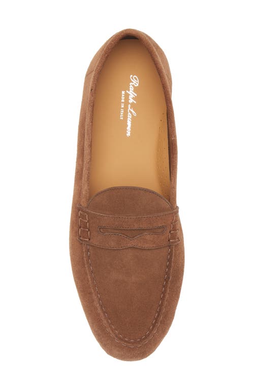 Ralph Lauren Purple Label Collins Suede Penny Loafer In Chesnut Brown