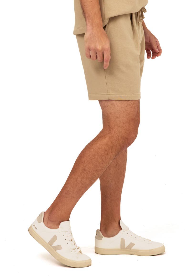 Easton Pleated Mineral Wash Terry Cloth Shorts, Alternate, color, PEBBLE