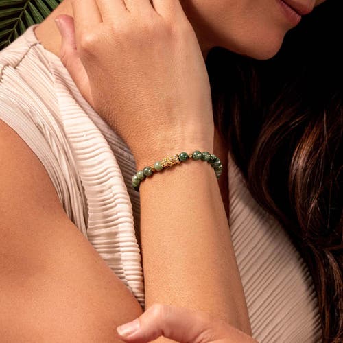 Karma And Luck Untamed Spirit In Green/gold
