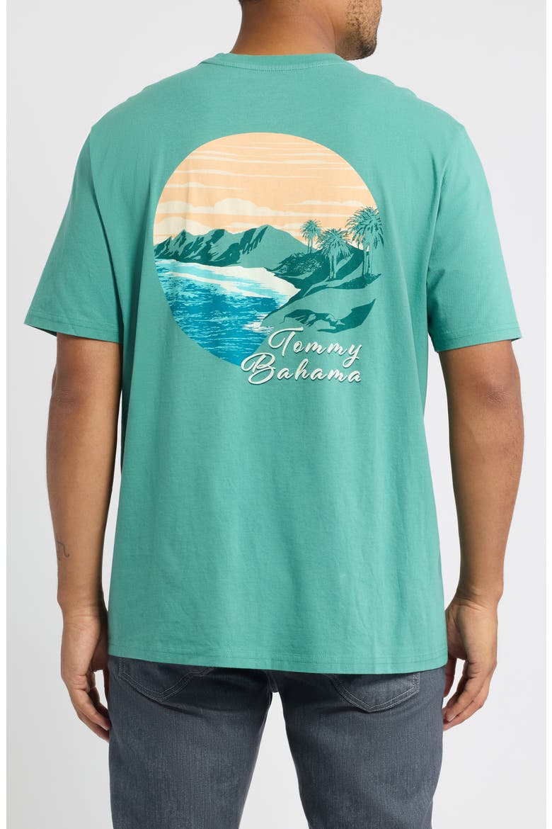 Golden Shores Graphic Tee, Alternate, color, ARUBA
