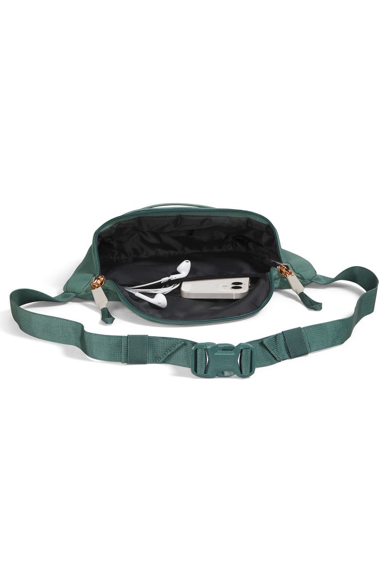 The North Face Jester Lumbar Luxe Belt Bag, Alternate, color,
