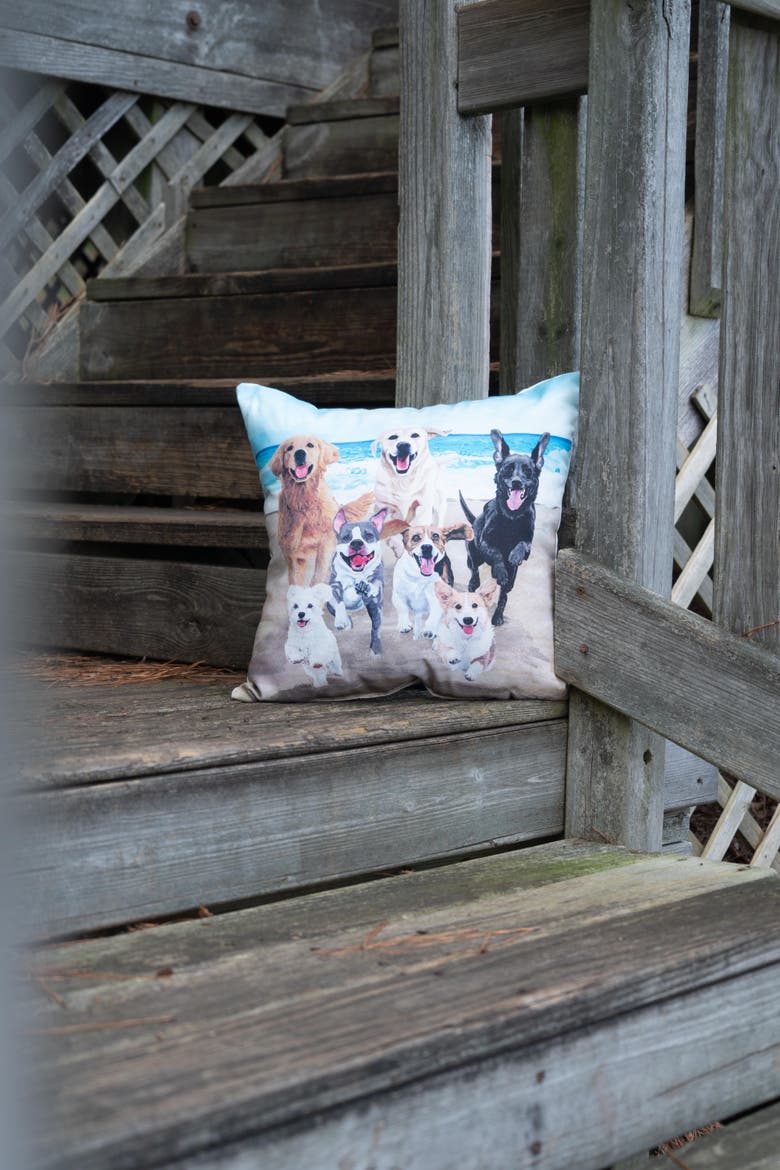 Running Summer Dogs HD Printed Accent Throw Pillow 18" x 18", Alternate, color, Beige