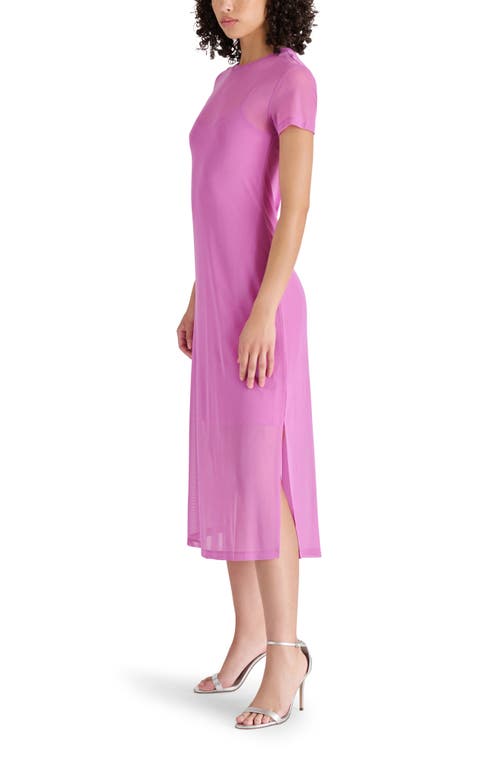 Steve Madden Mesh T-shirt Dress In Spring Crocus