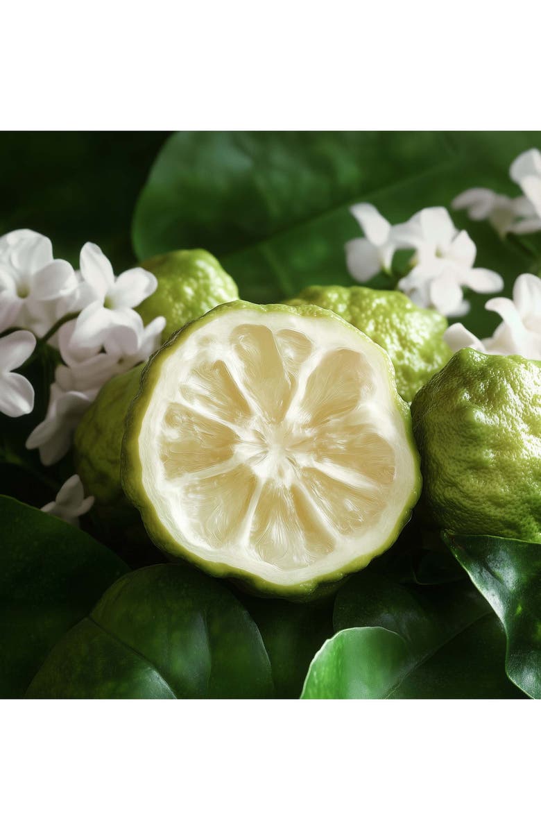 House of Sillage Mickey & Freinds Travel Spray Refill Set, Alternate, color,