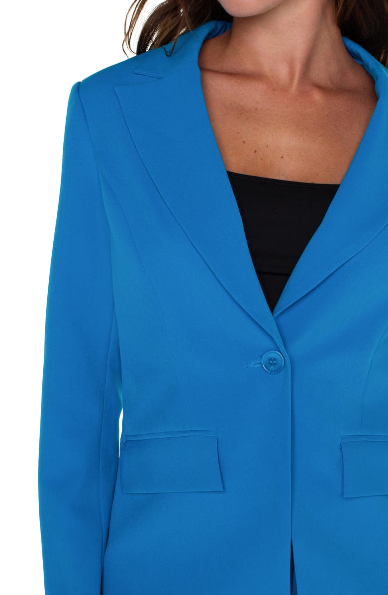 Liverpool Los Angeles One-Button Blazer, Alternate, color, 