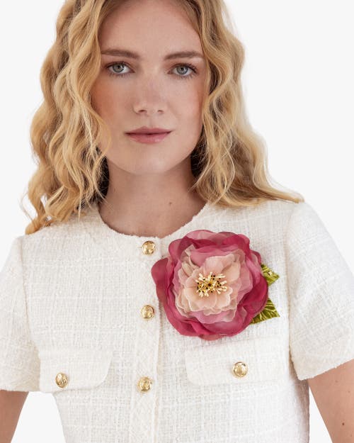 Helena Simon The Camellia In Pink