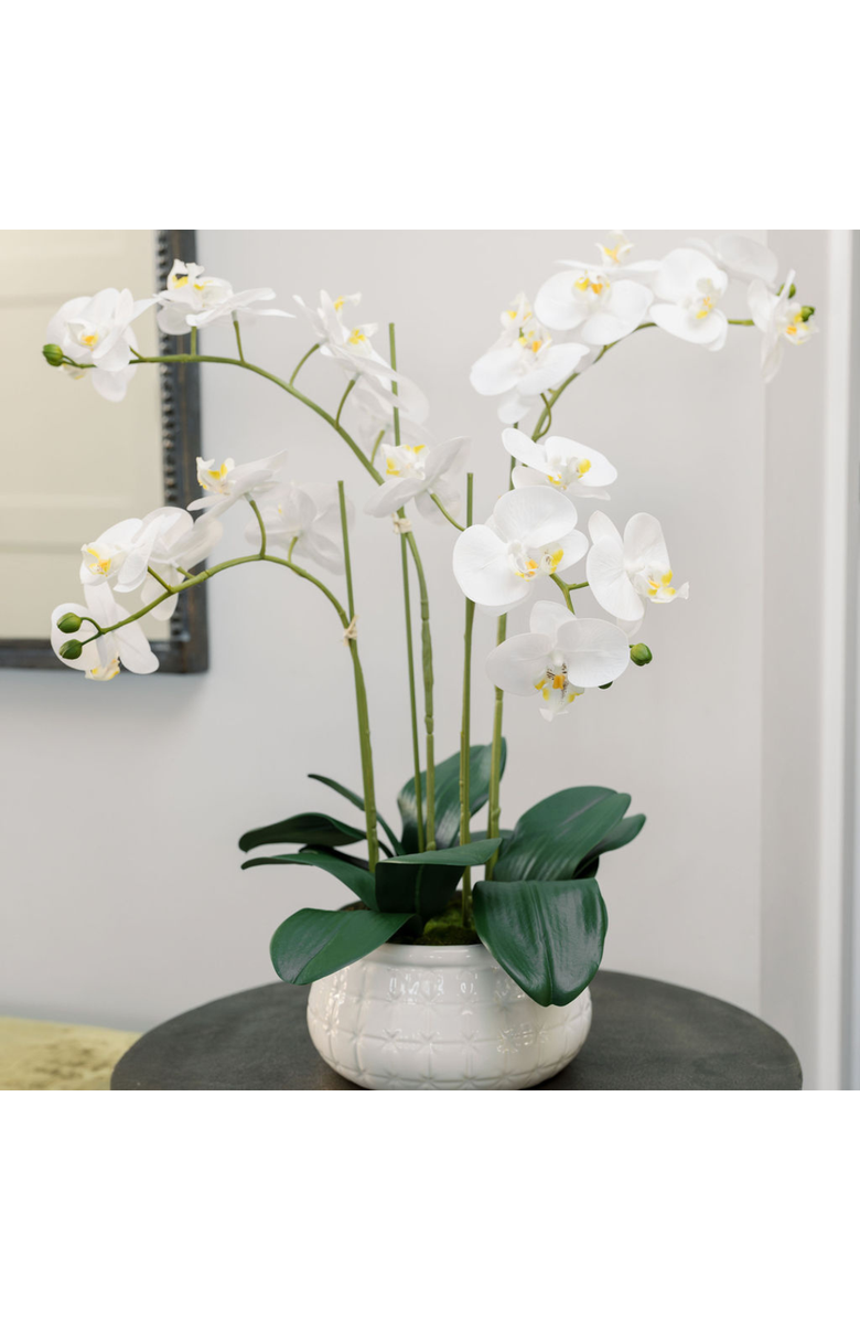 CG Hunter Artificial 4-Stem Phalaenopsis White Orchid, Alternate, color, White