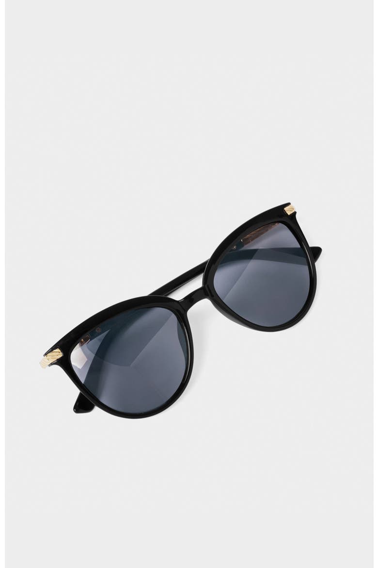 Ravello Sunglasses, Alternate, color, Black