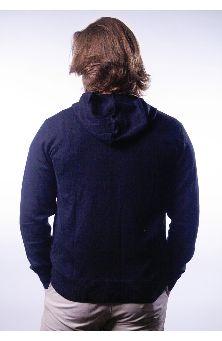 Ledger & Ford Navy Tomales Hoodie, Alternate, color, Navy