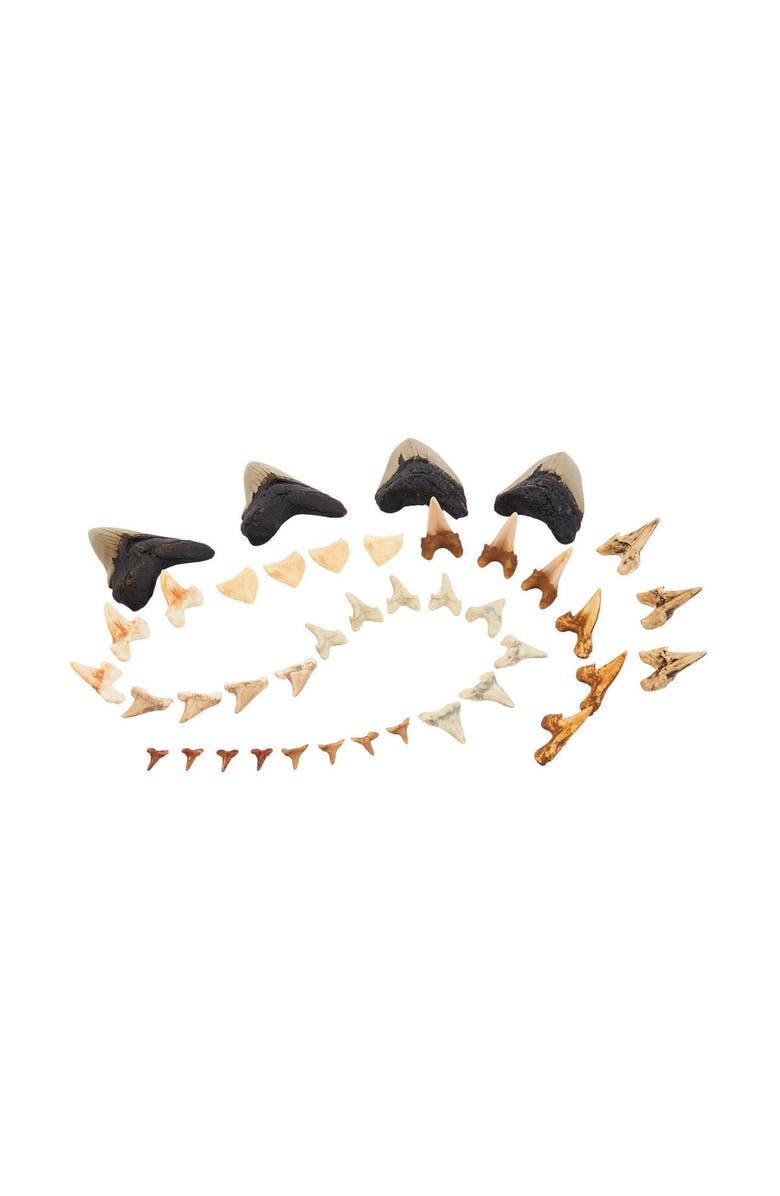 Kaplan Early Learning Company Super Shark Teeth Set - 40 Pieces, Main, color, Multicolored
