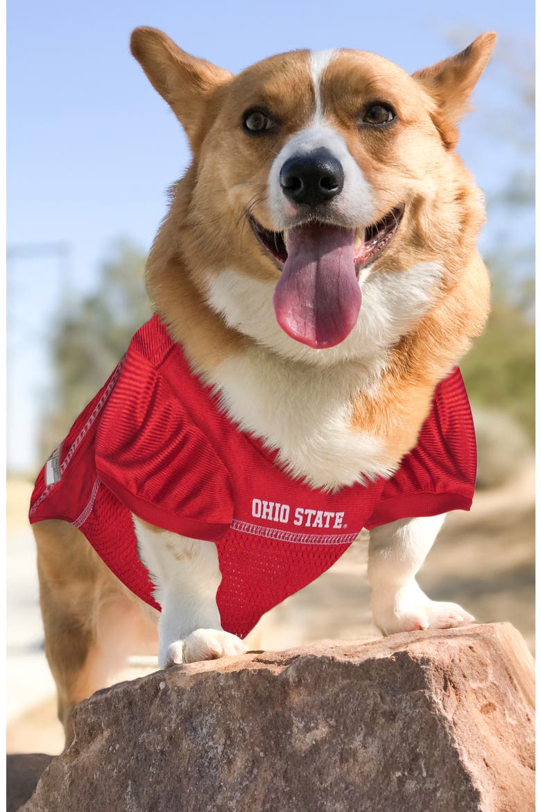 Ohio State Buckeyes Basketball Mesh Dog Jersey, Alternate, color, RED