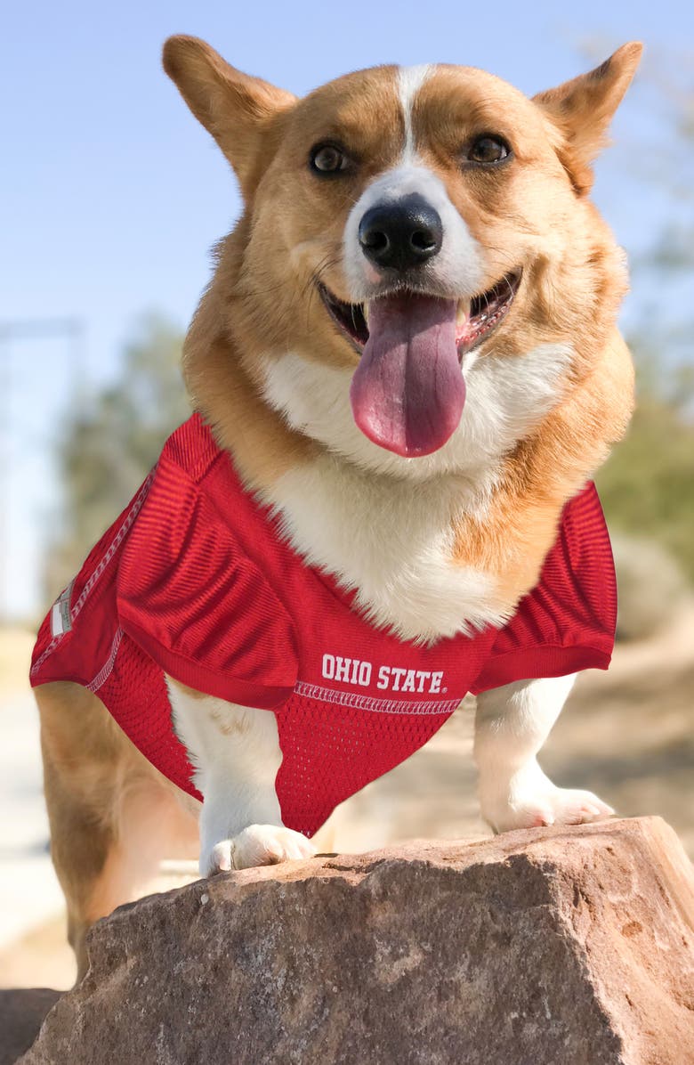 PETS FIRST Ohio State Buckeyes Basketball Mesh Dog Jersey, Alternate, color, Red