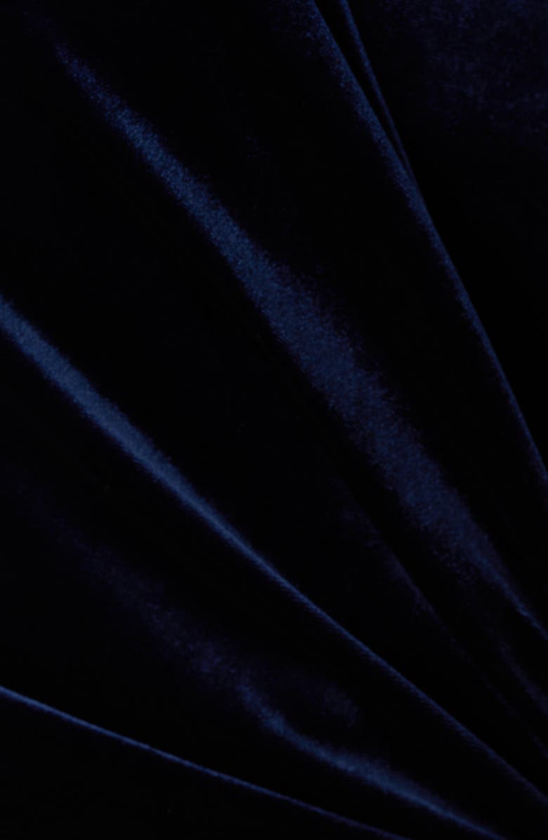 Adrianna Papell One-Shoulder Velvet Jumpsuit, Alternate, color, 