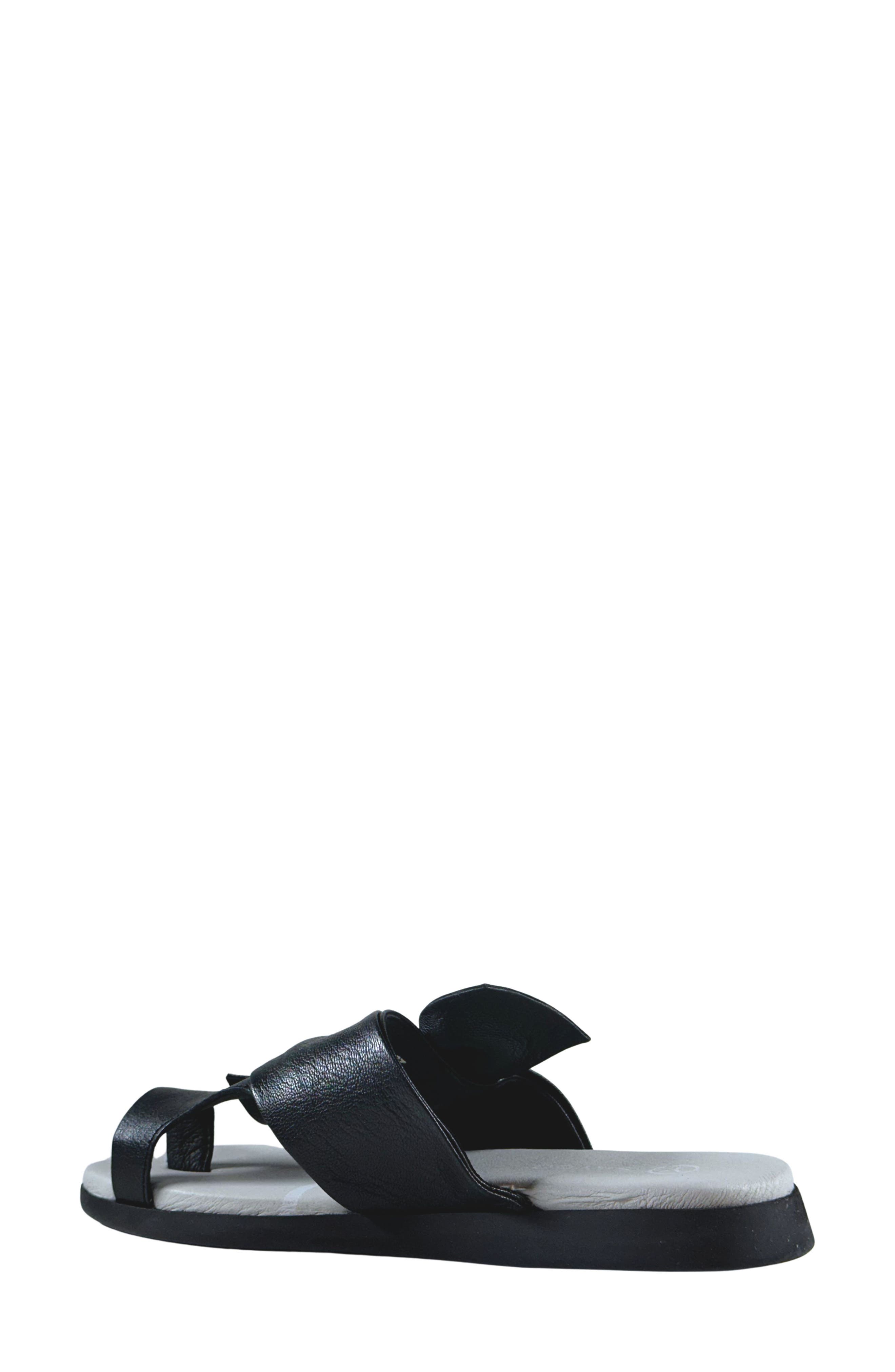 SAYDO Lucent Toe Loop Sandal, Alternate, color, 