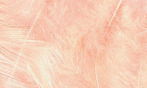 Mango Feather Frame Handbag In Blush