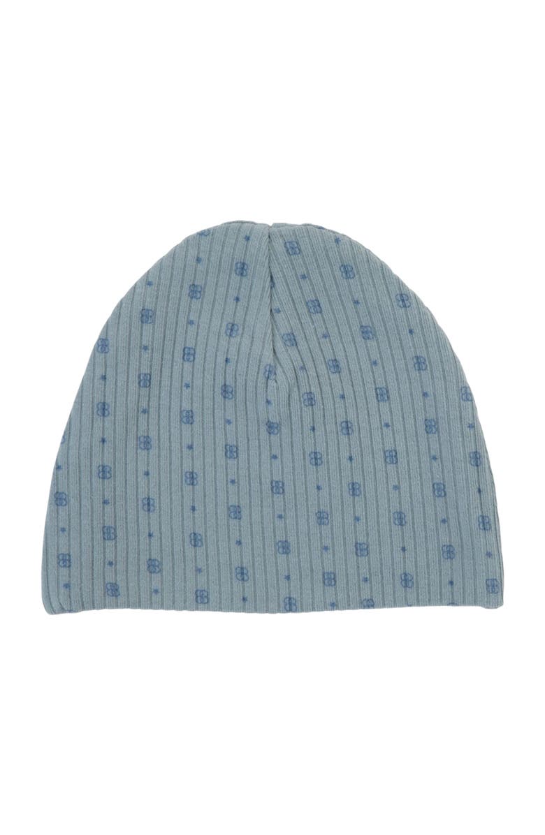 NoggiWear Printed Ribbed Beanie, Main, color, 