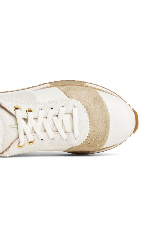 The Office Of Angela Scott The Quinn Felted Wool Sneaker