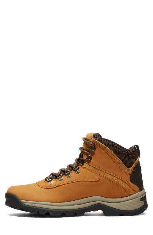 Shop Timberland White Ledge Waterproof Hiking Boot In Wheat