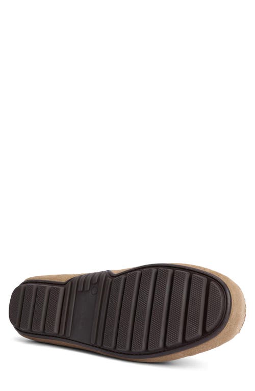 Barbour Courage Driving Shoe In Taupe Suede